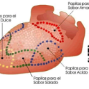 Ilusiones gustativas