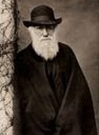 150 años de evolución