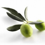 Aceitunas