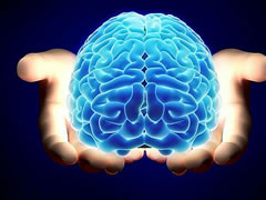 ¿Está nuestro cerebro diseñado para la felicidad?